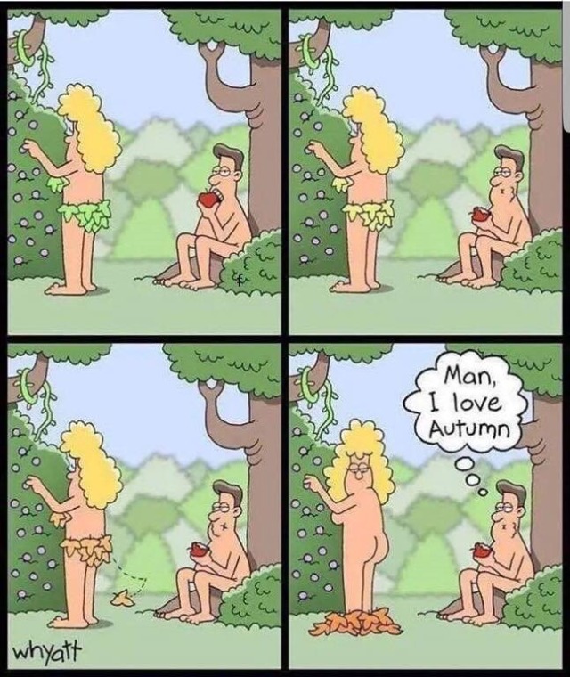 my0clonic-jerk: