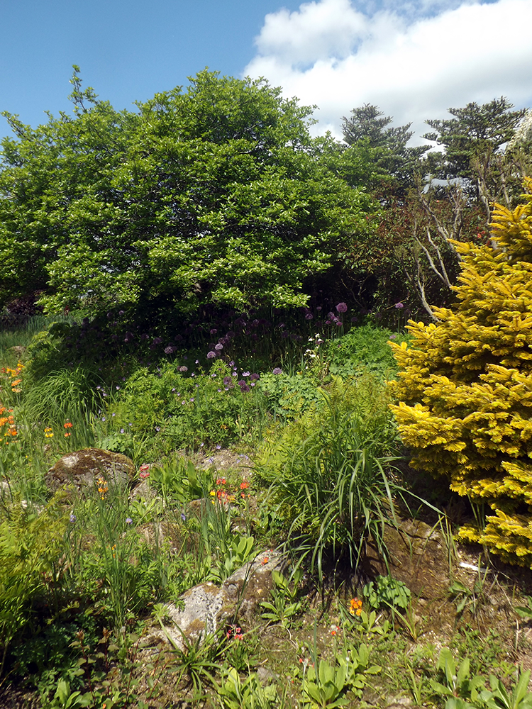 Merriments Garden