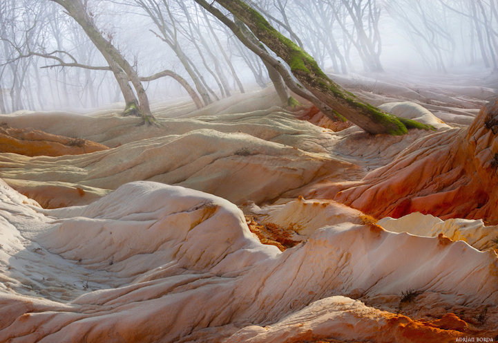 strangelfreak:  Adrian Borda