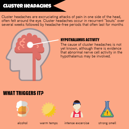tobeagenius:  Headaches are still largely a medical mystery. We have no pain receptors on our brain, yet we so often experience pain which seems to come from it. This infographic outlines the 3 main types of headaches, and their probable causes. 