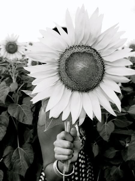 SummerDreamz
