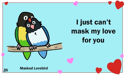 pepperandpals:rembrandtswife:birdcheese:Bird cards, not only for tweet-hearts.pepperandpals, these are by your buddy, aren’t they? I recognize the style!Yep! Birdcheese is my college roommate!  D'aww~! <3