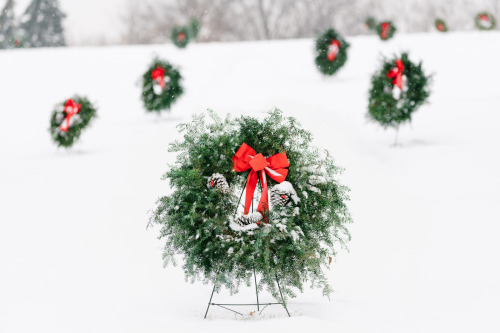 DECEMBER 16, 2016 - 351/366THESE SNOWY WREATHSAs seen at Lakewood Cemetery this afternoon.