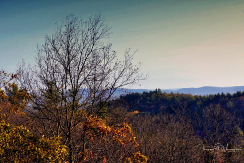 thomasgwarringtonphotography:  I took a trip to Sleeping Giant State Park in Hamden, Connecticut thi