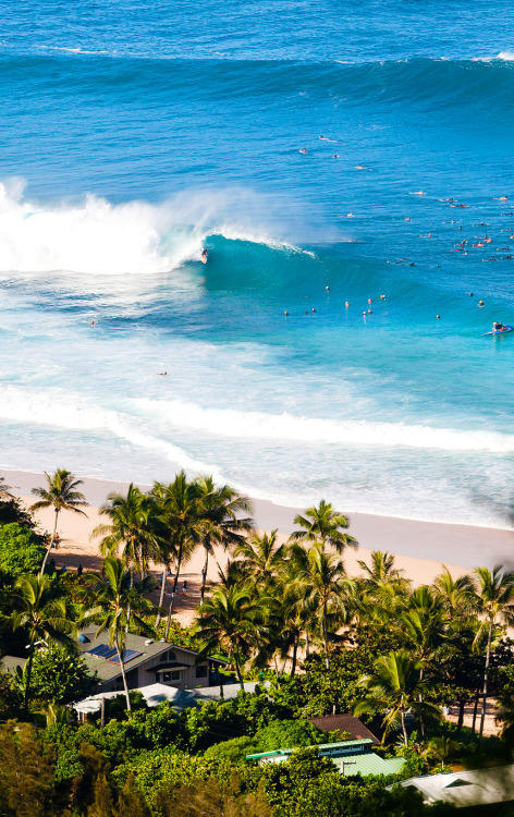 wslofficial: Pipe from above.  2014 Billabong Pipe Masters: Dec. 8 - 20 Photo | aspworldtour