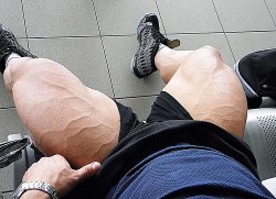 musclelover:  Quad almighty look at these