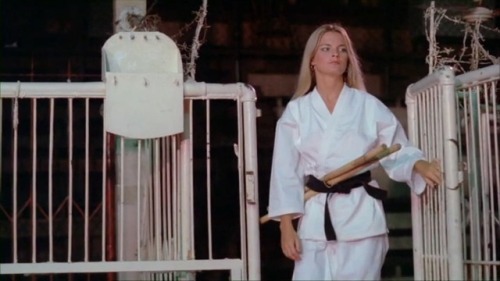 “Firecracker” (1981). A sexy Kung Fu film. There’s a scene where Jillian Kessner loses an article of