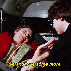 illeonedipietra:What is this from?This is Harold and Maude, directed by Hal Ashby and it’s pro