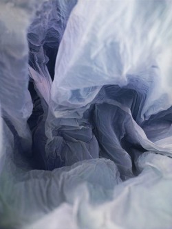 exam:  Plastic Bag Landscapes by Vilde Rolfsen