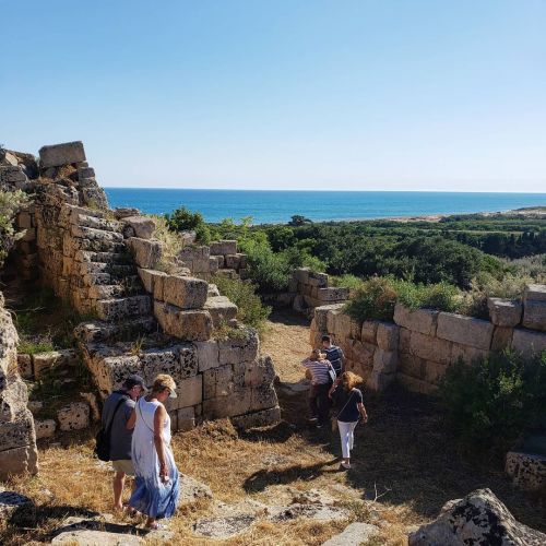 allisonscola:Unlike many of the other temple ruins that one can visit throughout Sicily at Agrigento