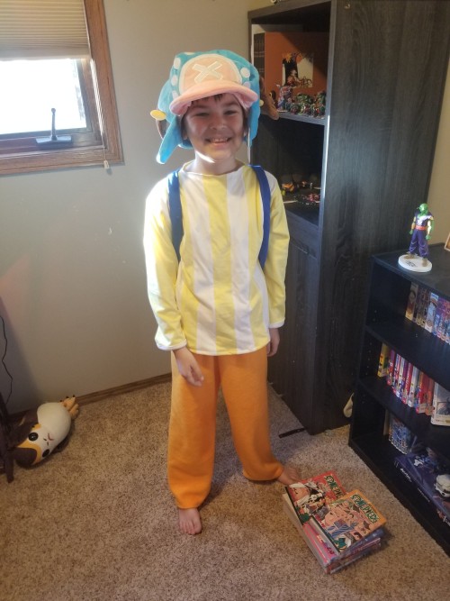 Bought The Tony Chopper Hat Made The Rest. Beastie Is Very Very Happy.