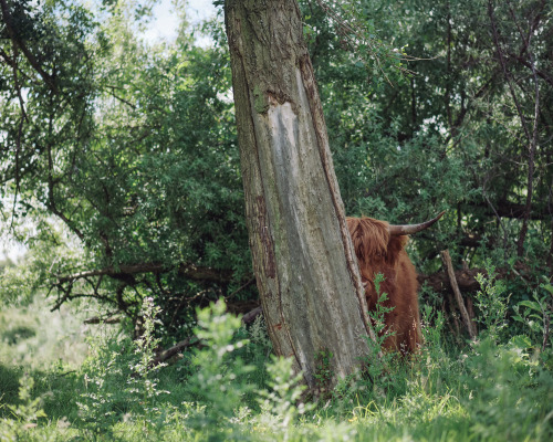 Porn Pics klaasfoto:  Hide and Seek, 2016  I tried