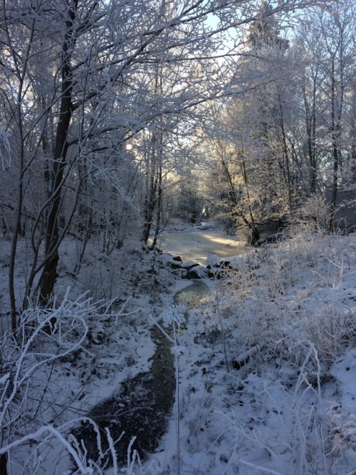 chained-to-the-mirror: Winter wonderland ❄️