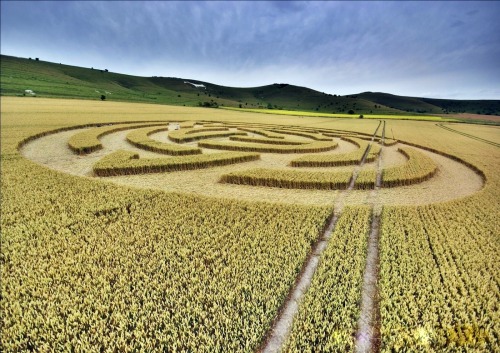 vraieronique:L’ Art, aussi, est dans le pré ..!