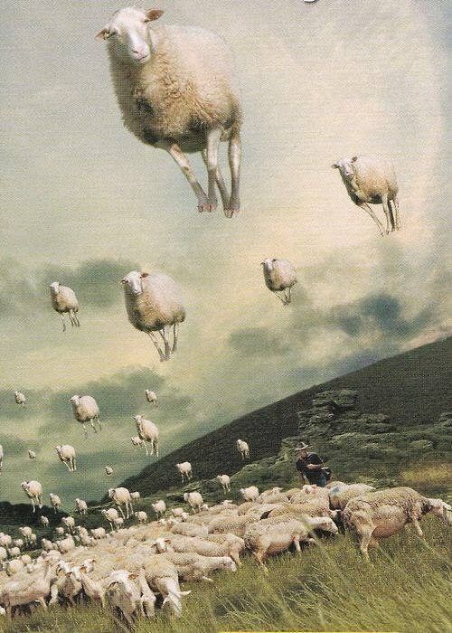 hitku:  by Michael Sowa 
