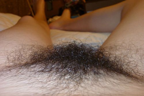 http://velter1.tumblr.com/post/101280354392