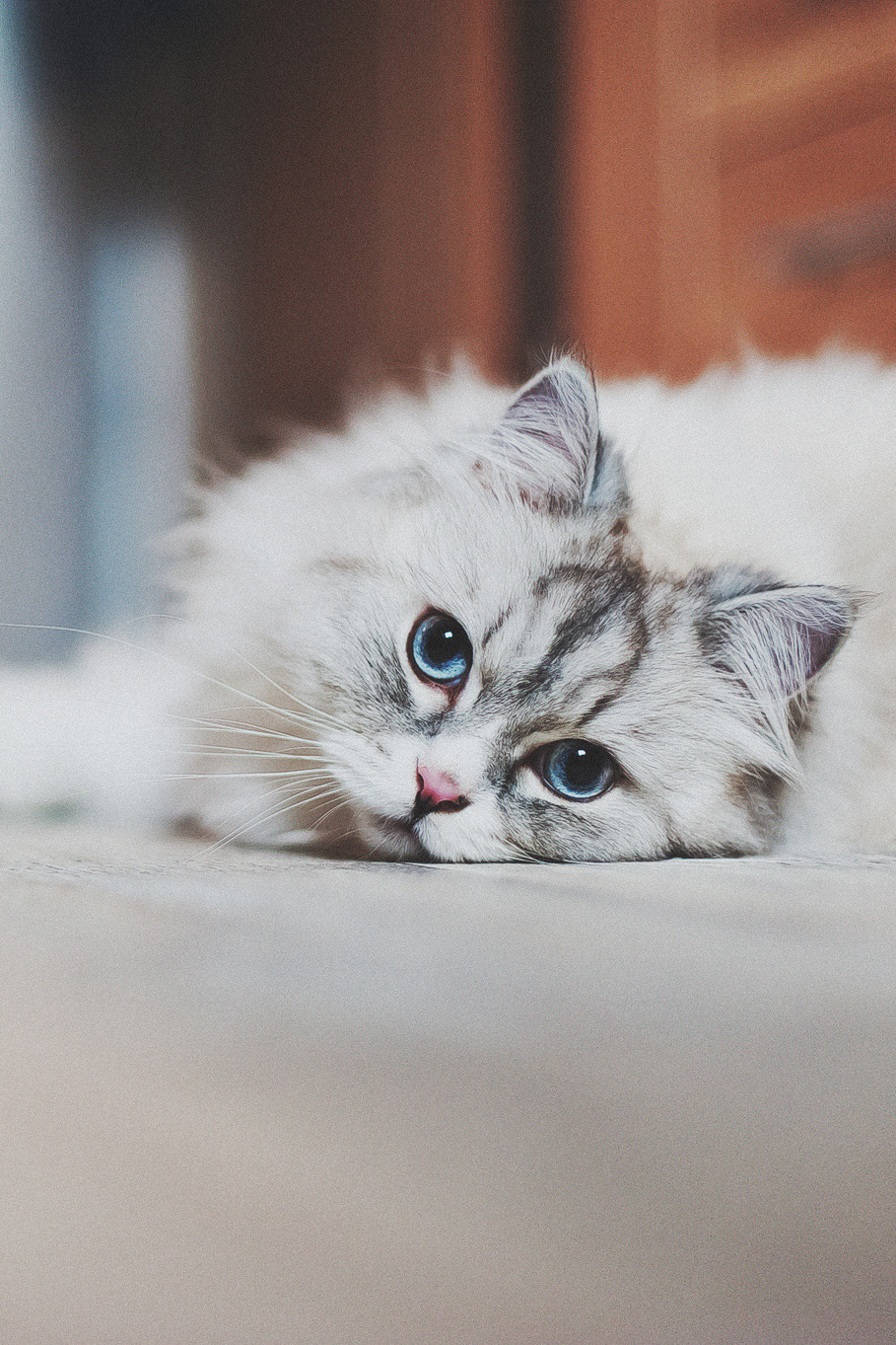 mstrkrftz:  &lt;3 by Moni 