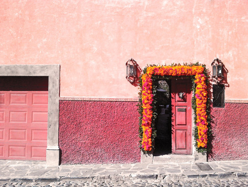 tepitome:San Miguel de Allende, 2018.