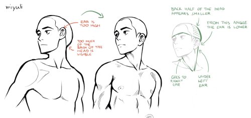 miyuliart:Some head related art notes.I hope some of these are a bit helpful.Patreon / Gumroad