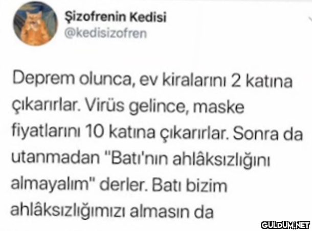 Şizofrenin Kedisi...