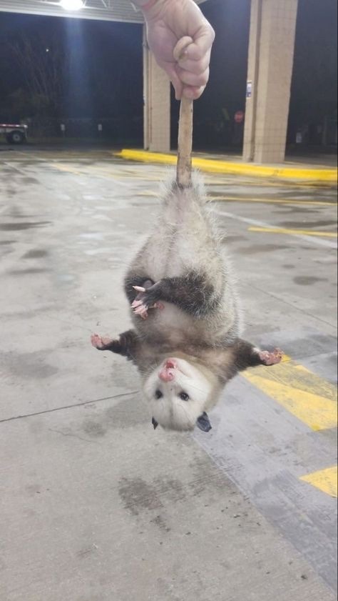 They Got Him
