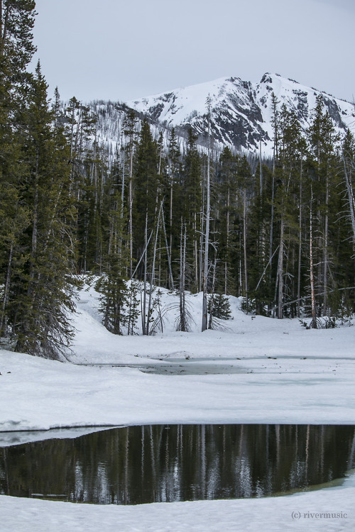 Openings: Spring arrives at Sylvan Lake and Top Notch Mountains, Yellowstone National Park, Wyomingr