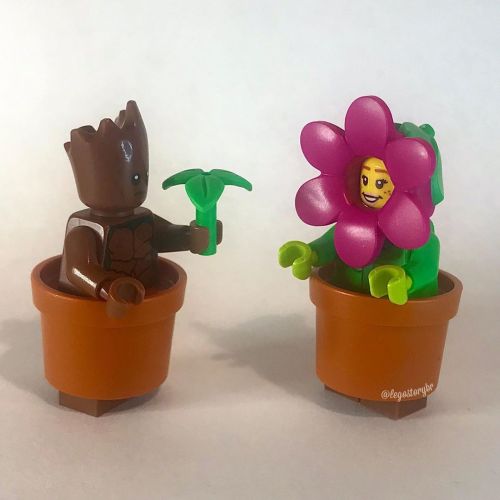 - I am Groot. - I am Petunia, nice to meet up. - I am Groot. -  #legostorybr #lego #legominifigures 