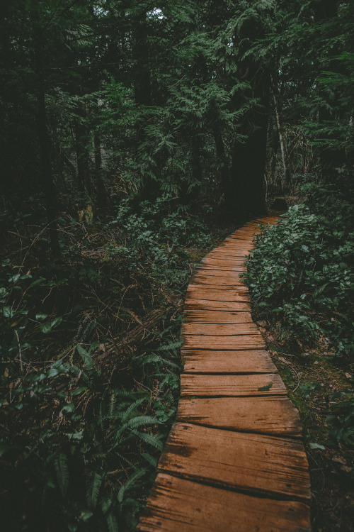 Porn photo brianstowell:  Cape Flattery, Washington