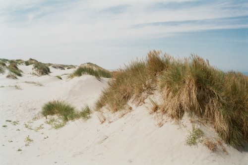 benzynne:  The beach close to Nieuwpoort \ Olympus OM2