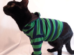 wickedclothes:  Navy / Green Striped Cat Hoodie Help your cat chase some tail by giving them a stylish new hoodie. Crafted from lightweight cotton, this garment will keep your cat comfortable and in style during any season. Sold on Etsy. 