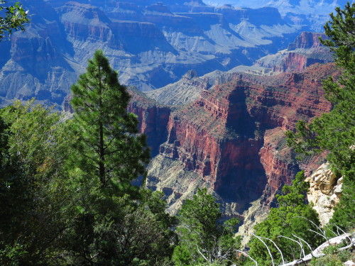 guidedsailor:Grand Canyon National ParkArizona