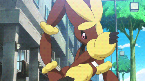 RABBU REBLOGS