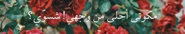 shaweesh:  By Shaweesh http://instagram.com/shaweesh_ 