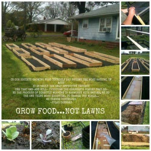 Gardening - Grow Food, Not Lawns