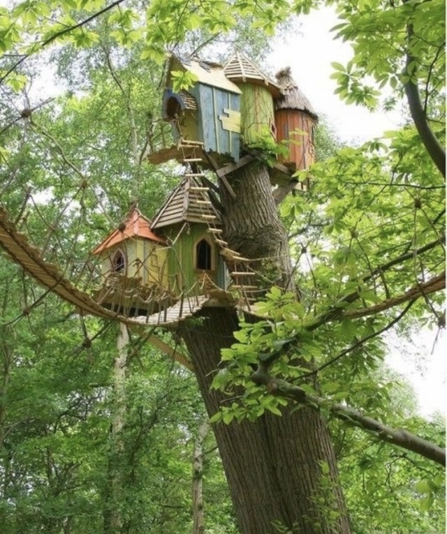 overlooked-fairy:Some awesome treehouses that look so relaxing and call my inner wood elf inside! 🌱🌿🍃