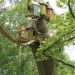 overlooked-fairy:Some awesome treehouses adult photos