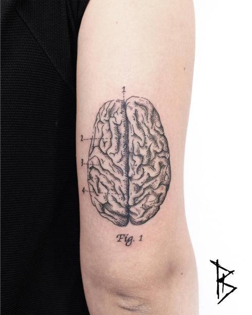 I've always been so interested in the connection between our brains and  hearts! Tattoo done by Alisha at Onyx Ink in Burlington, VT. : r/tattoos