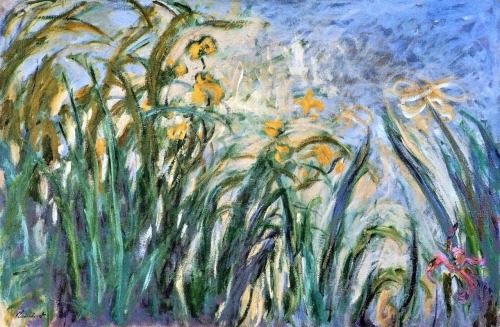 vincentvangogh-outwithme: Irises Vincent Van Gogh vs. Claude Monet 