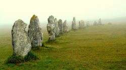 Viking, Celtic, Nature stuff