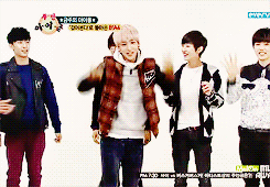 sdeul-blog:   b1a4’s awkward cutie player ft. princess squirrel being his gross