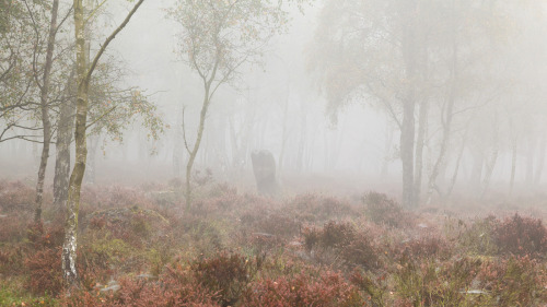 Gardom&rsquo;s Standing Stone by Paul Newcombe