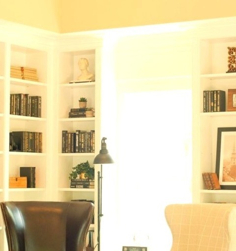 Living Room - Library