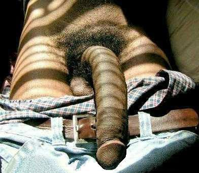 justbull:  Black