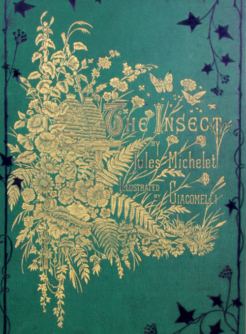 michaelmoonsbookshop: The Insect by Jules Michelet - Illustrated by Giacomelli Attractive finely det