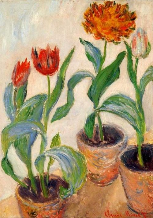 art-mysecondname:Claude Monet – Three Pots of Tulips, 1883