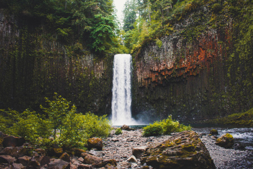 finalfires: a waterfall tucked away, deep in the forests of oregon ↟↟↟ via Finalfires on instag