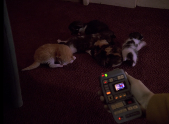 alexyar:  ARE YOU KIDDING ME this show has it all 