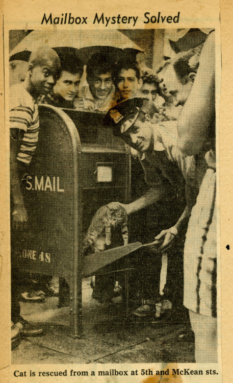 hspdigitallibrary: Cat rescued from mailbox clipping, 1961  “The mystery of the noisy mailbox at 5th and McKean sts. ended at 4 yesterday afternoon.”  Neighborhood police and the post office were notified after children heard “yowling” coming