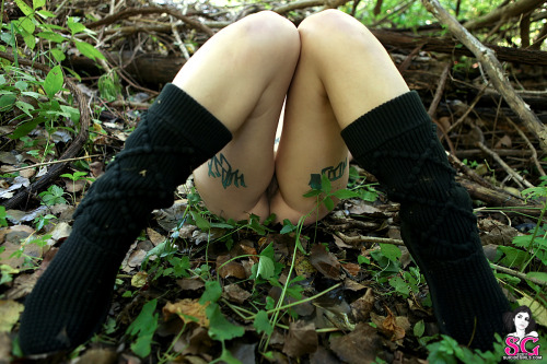  Model: Damsel  