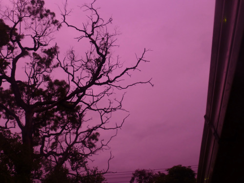 las-calles:  i’m in melbourne and it had gotten dark, but then suddenly the sky did this and it was like the whole world was an instagram filter and then it got dark again 